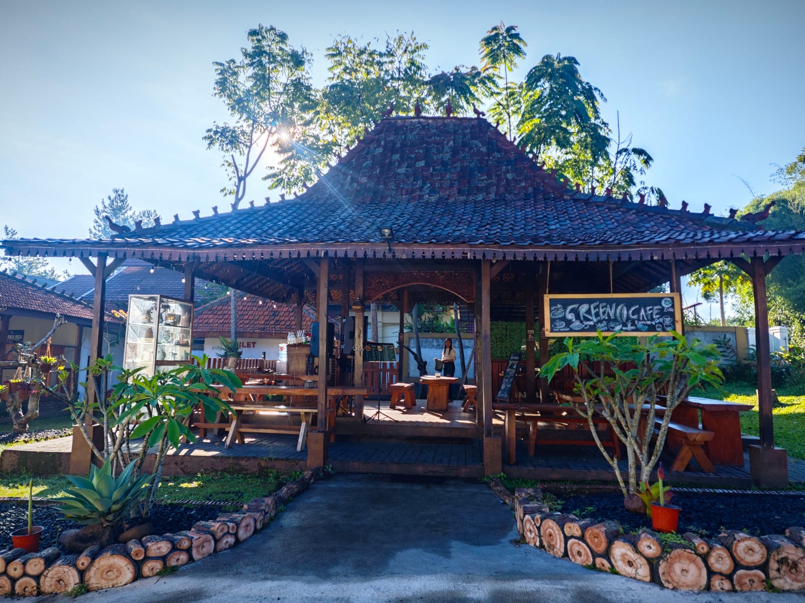 green cafe 3